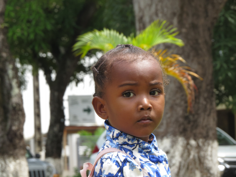 Мадагаскар-2020: Из крайности в крайность