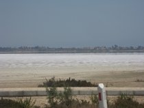 Ларнака 8