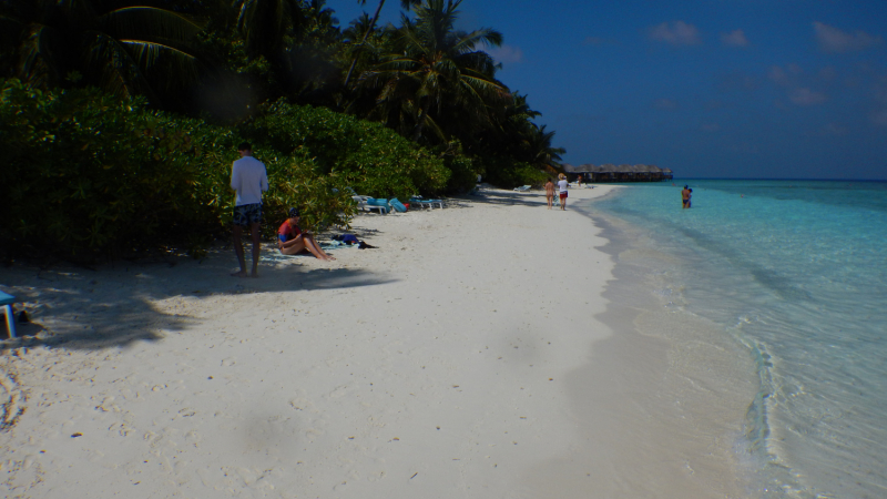 Fihalhohi Island Resort – февраль 2021