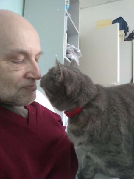 Кошки в нашей жизни. Кошки и все, что с ними связано.