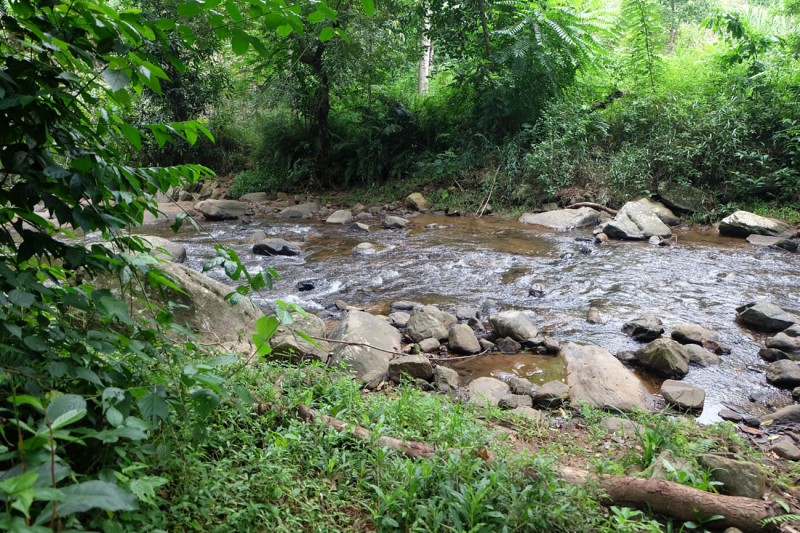 Стэнли и Ливингстон на водопаде Киноле