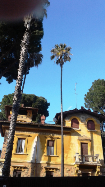 La mia vita. Римские записки, дневник онлайн