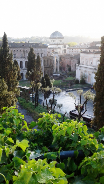 La mia vita. Римские записки, дневник онлайн