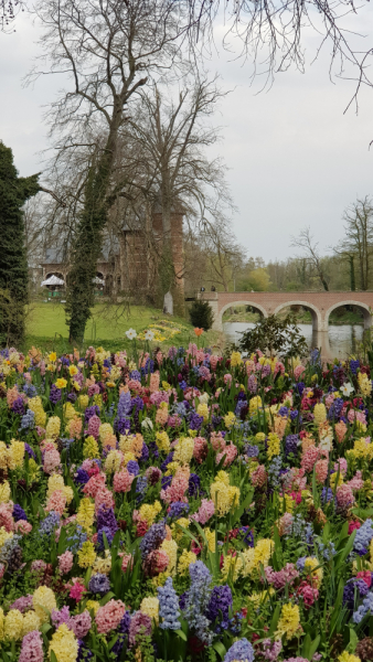 Испытание бельгийской весенней красотой: Floralia+