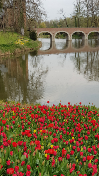 Испытание бельгийской весенней красотой: Floralia+