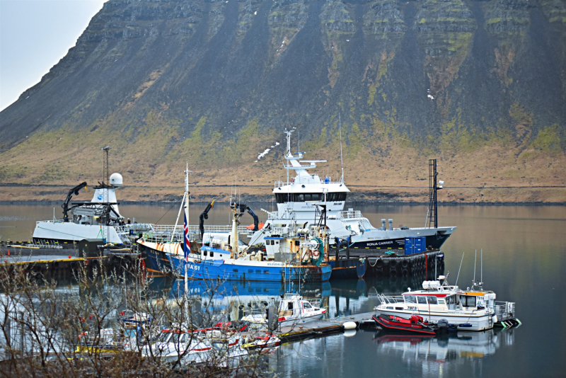 Северо-Западные фьорды.( Покинутый город и заброшенная  фабрика,тюлени,бассейн в горах.Самое старое судно Исландии,  самолет DC-3.Апрель 2021г.