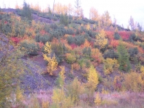 Добро пожаловать на Колыму! (фото и впечатления)