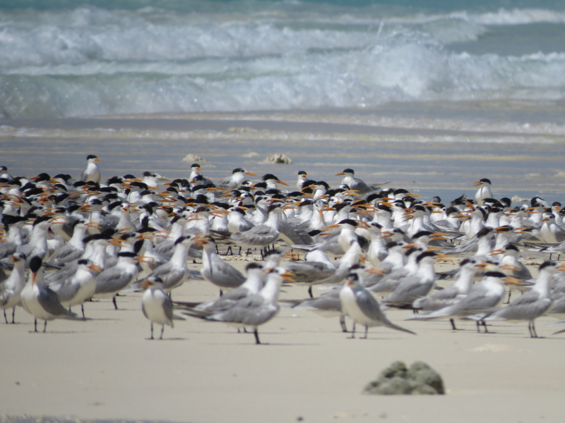 Мадагаскар-2020: Из крайности в крайность