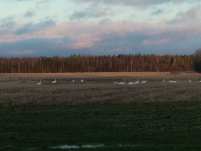 Познавательно-ненапряжный Русский Север без крайних заполярных точек