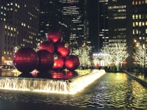 DSCF8506_новый размер.JPG