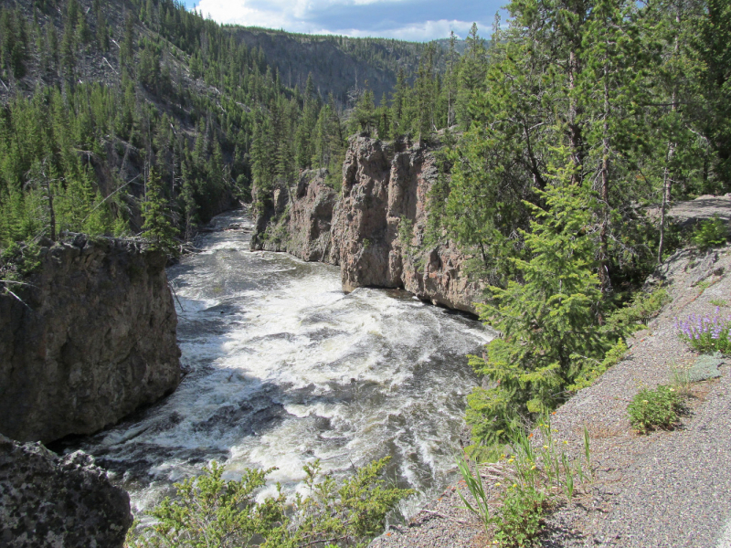 Вело Йеллоустон и Гранд Титон 2017г