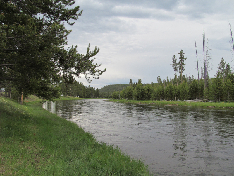Вело Йеллоустон и Гранд Титон 2017г