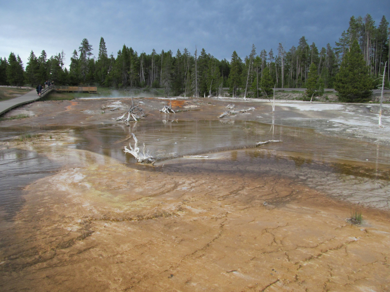 Вело Йеллоустон и Гранд Титон 2017г