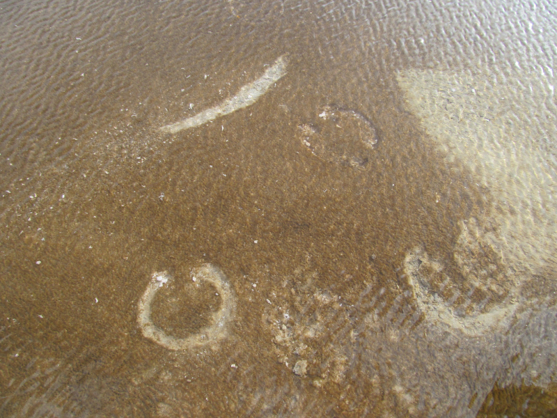 Вело Йеллоустон и Гранд Титон 2017г