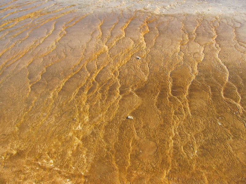 Вело Йеллоустон и Гранд Титон 2017г