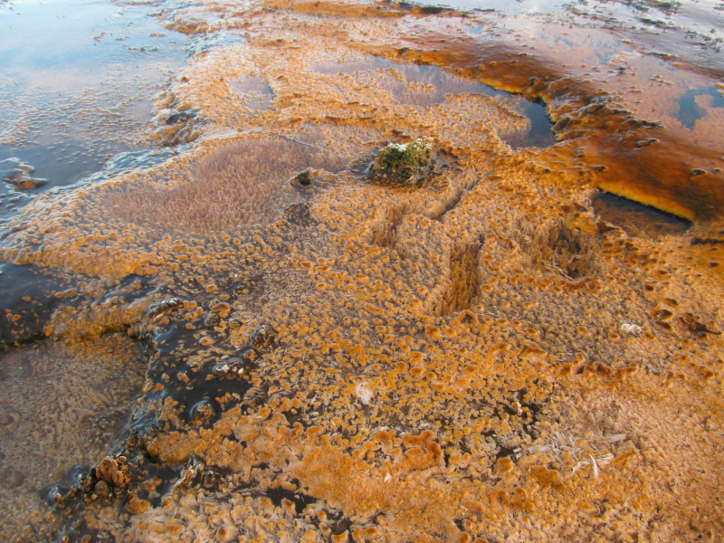 Вело Йеллоустон и Гранд Титон 2017г