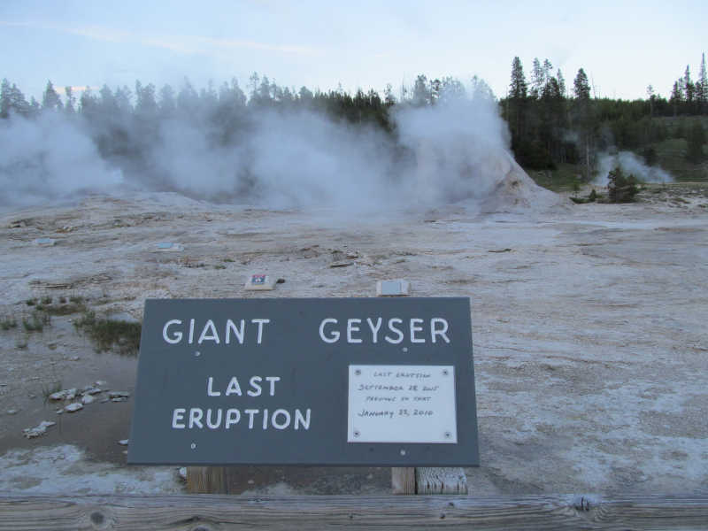 Вело Йеллоустон и Гранд Титон 2017г