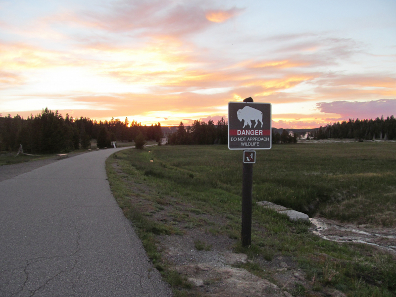 Вело Йеллоустон и Гранд Титон 2017г