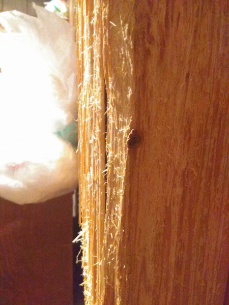 Кошки в нашей жизни. Кошки и все, что с ними связано.