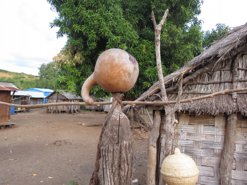 Мадагаскар-2020: Из крайности в крайность