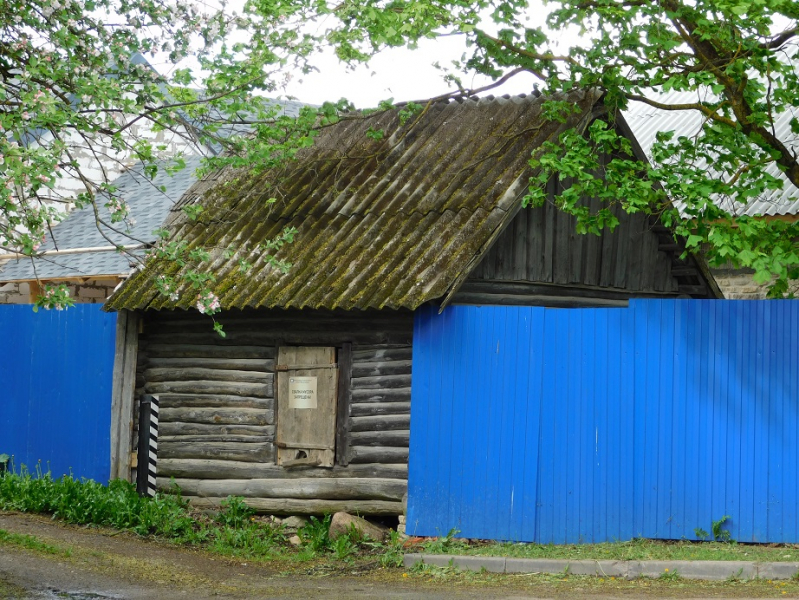 Где начиналась Родина. Изборск.