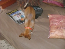 DSCF7014_новый размер.JPG