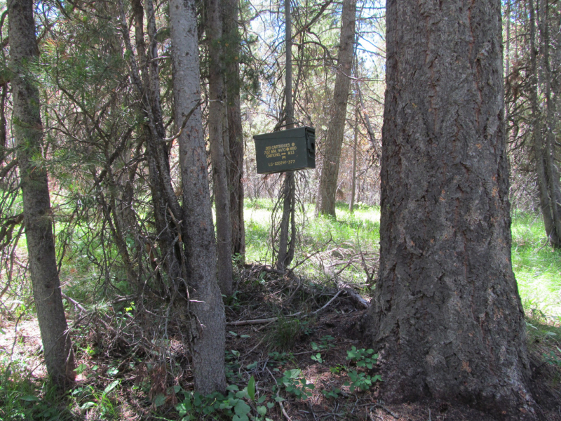 Вело Йеллоустон и Гранд Титон 2017г