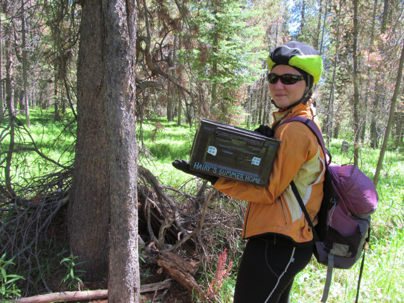 Вело Йеллоустон и Гранд Титон 2017г