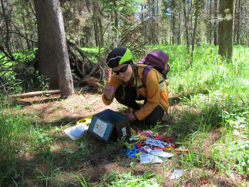 Вело Йеллоустон и Гранд Титон 2017г