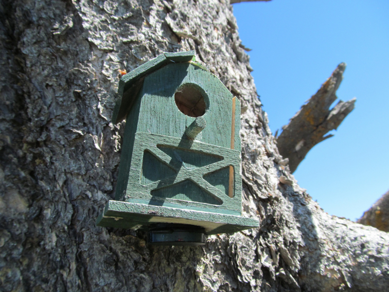 Вело Йеллоустон и Гранд Титон 2017г