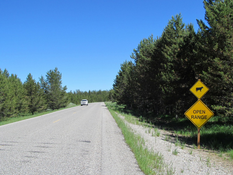 Вело Йеллоустон и Гранд Титон 2017г