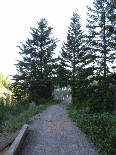 Вело Йеллоустон и Гранд Титон 2017г