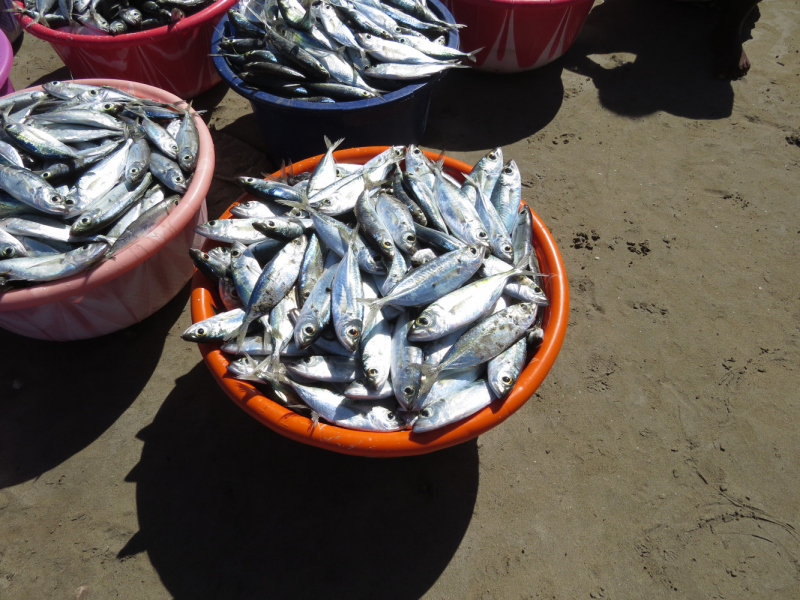 Мадагаскар-2020: Из крайности в крайность