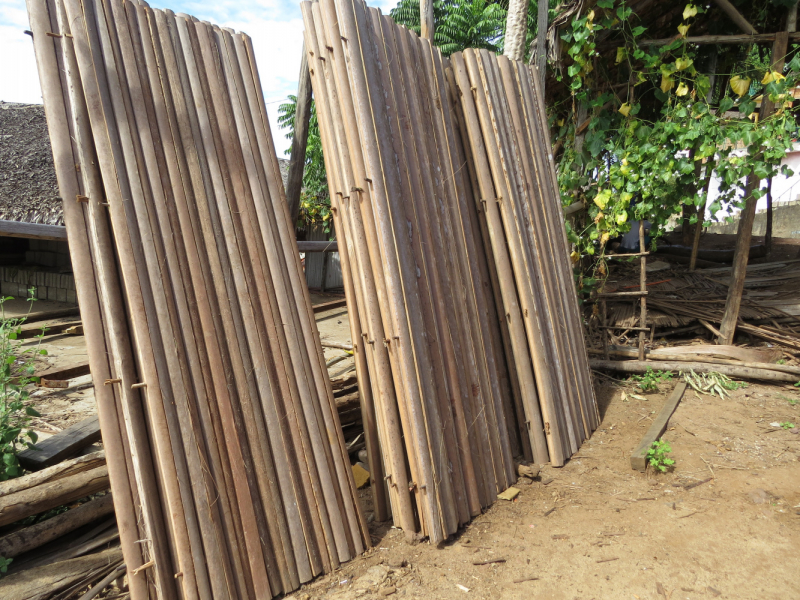 Мадагаскар-2020: Из крайности в крайность