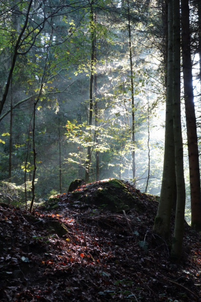 Земля Верхняя Австрия (Bundesland Oberösterreich)