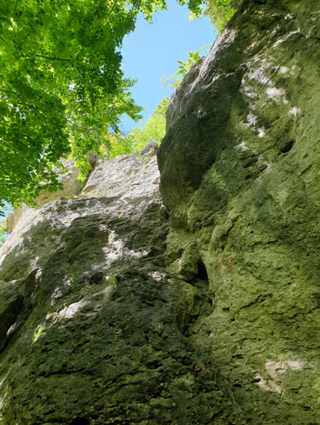 Поездки на выходные: Прекрасная Frankenjura