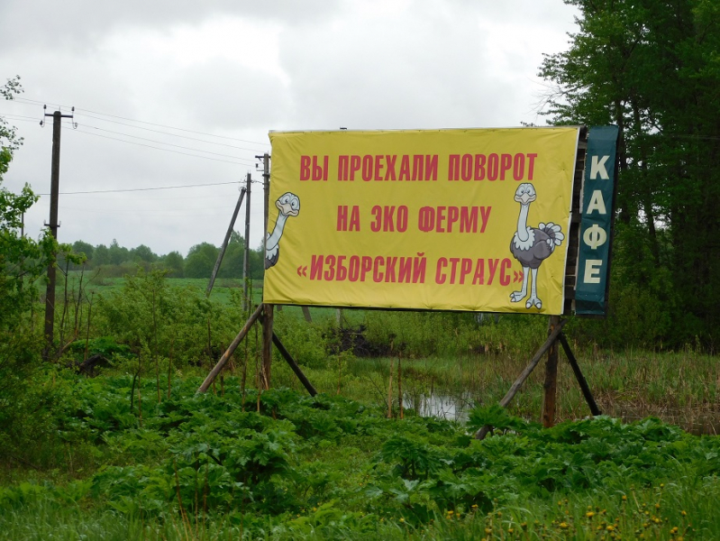 Где начиналась Родина. Изборск.