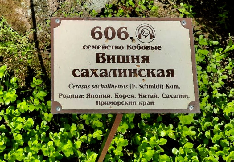 «Как я провёл этим летом» ©️ или неспешные прогулки по окрестностям Петербурга в ковидную годину