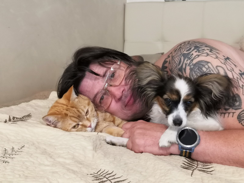 Кошки в нашей жизни. Кошки и все, что с ними связано.