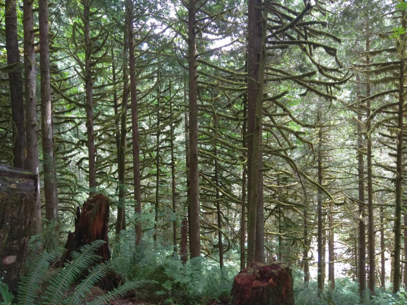 us03