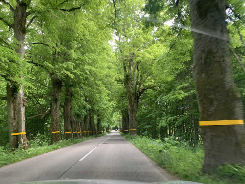 Калининград и область в начале июня на авто (29.05.2021-05.06.2021)