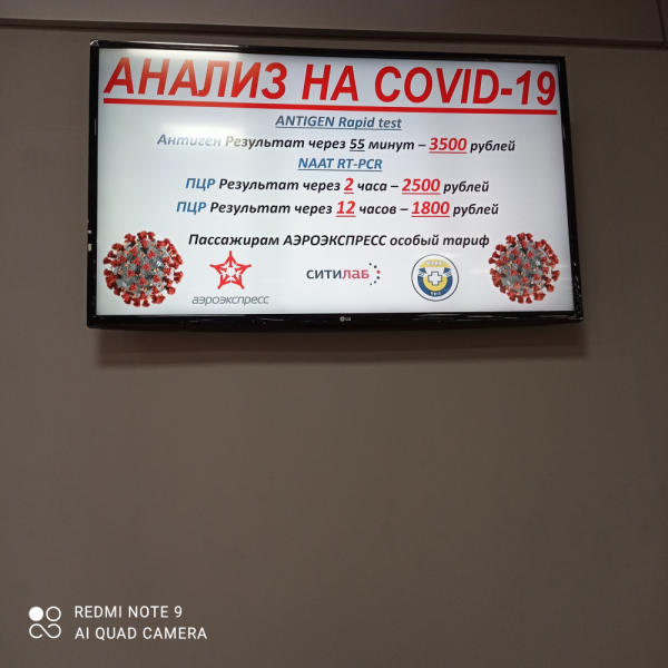 Карантин для прилетающих в Россию из-за границы до получения теста на Covid