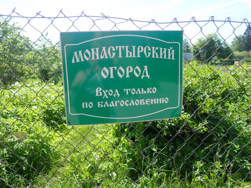 «Как я провёл этим летом» ©️ или неспешные прогулки по окрестностям Петербурга в ковидную годину