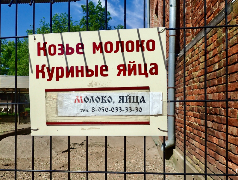 «Как я провёл этим летом» ©️ или неспешные прогулки по окрестностям Петербурга в ковидную годину