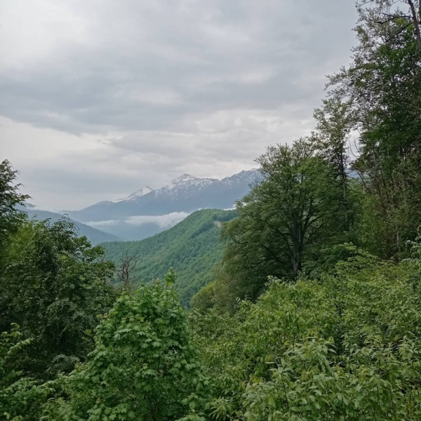 Три дня в Адлере Три дня в Адлере