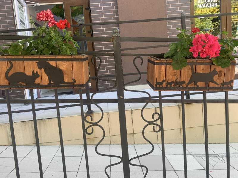 Калининград и область в начале июня на авто (29.05.2021-05.06.2021)