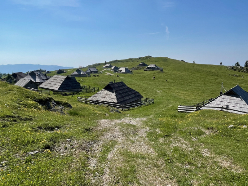 Velika Planina, июнь 2021