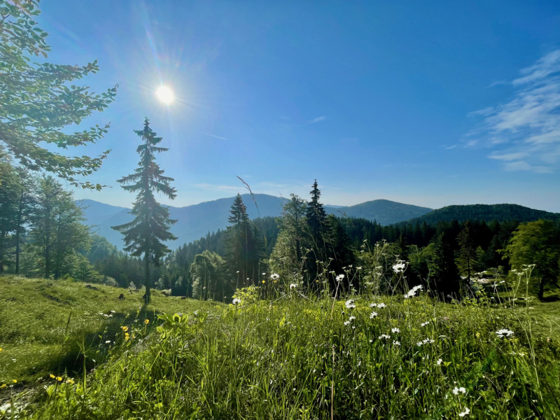 Velika Planina, июнь 2021