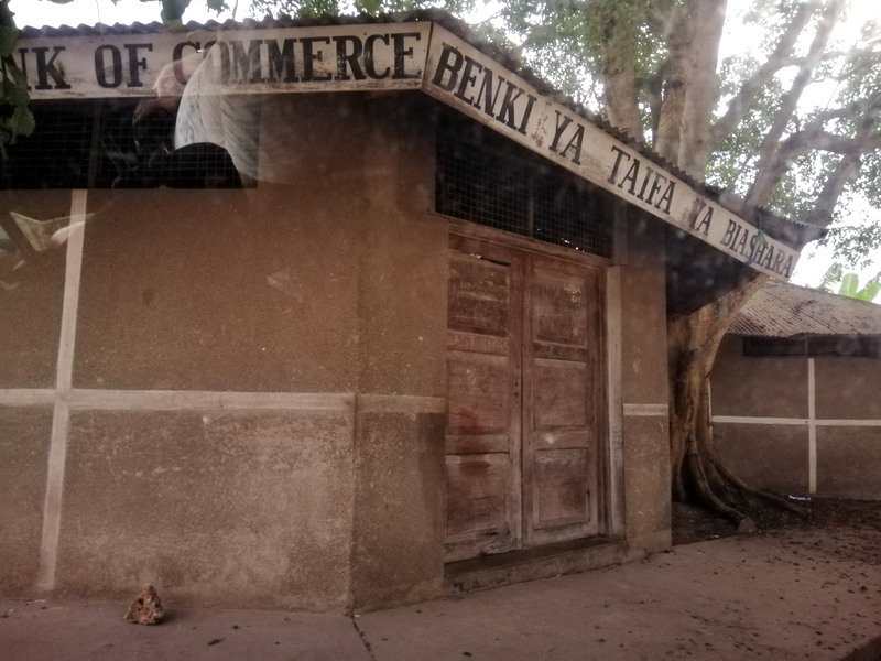 Zanzibaras automobiliu. Kizimkazi-Paje-Matemwe-Chuini-Stone Town. 