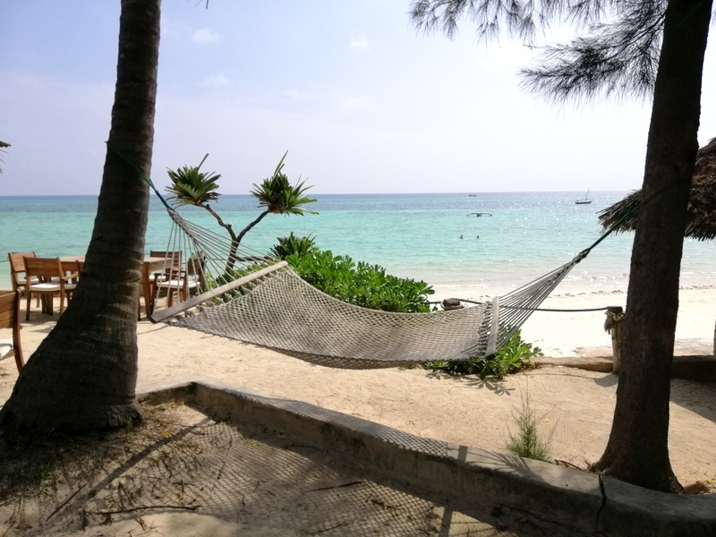 Zanzibaras automobiliu. Kizimkazi-Paje-Matemwe-Chuini-Stone Town. 